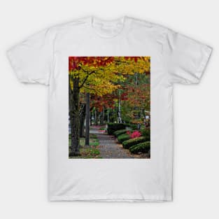 The Sidewalk And Fall T-Shirt